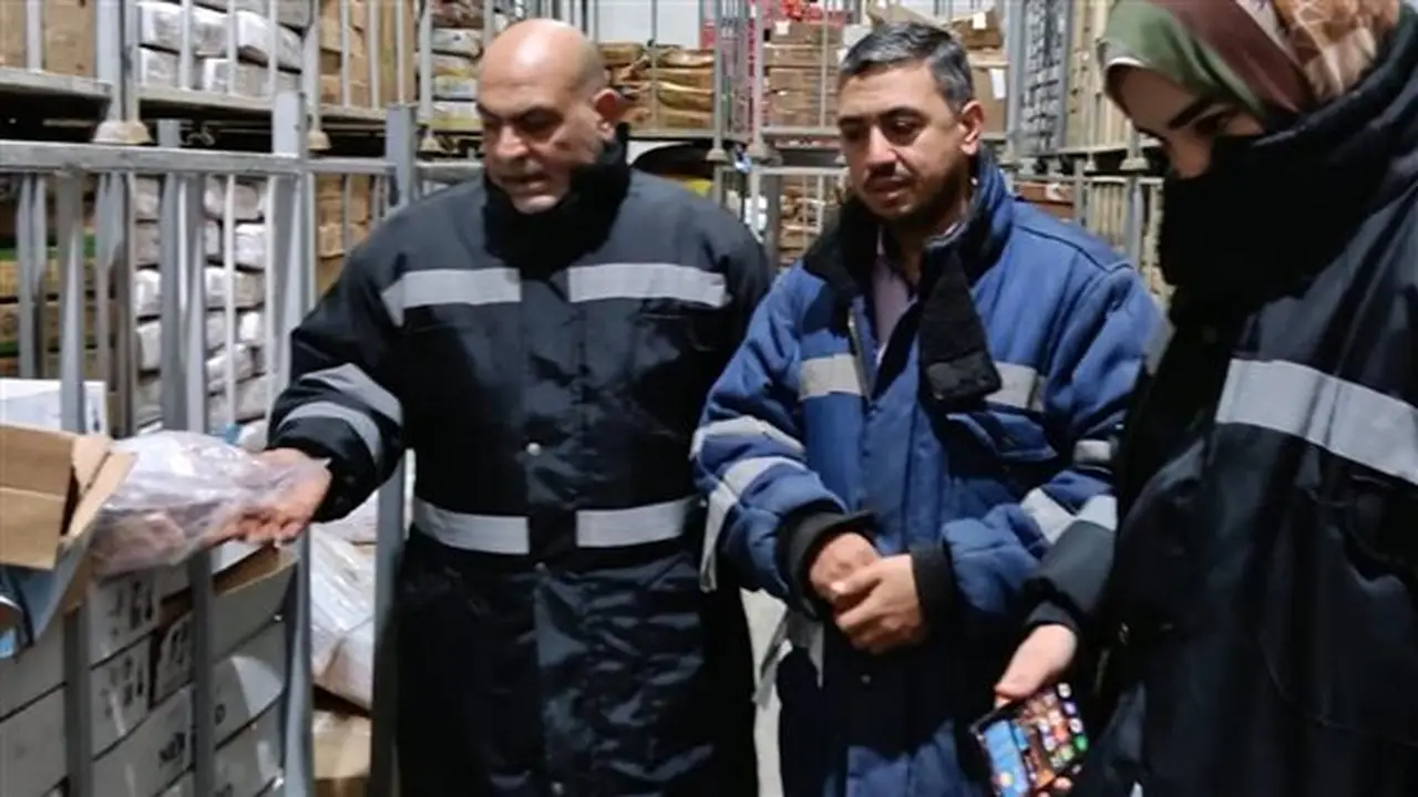 ضبط 2.5 طن من الأسماك والكبدة غير الصالحة للاستهلاك الآدمي في القليوبية
