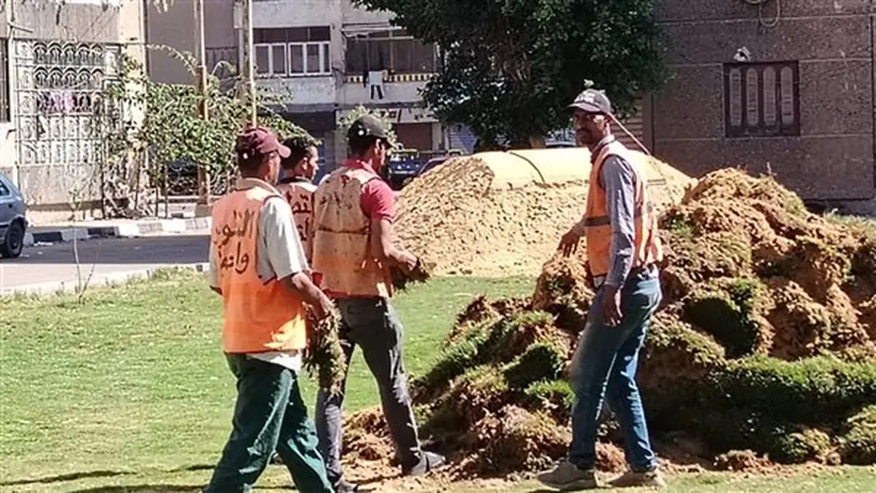 محافظ الإسماعيلية يتخذ إجراءات عاجلة بشأن ري مسطح أخضر بمياه الصرف الصحي