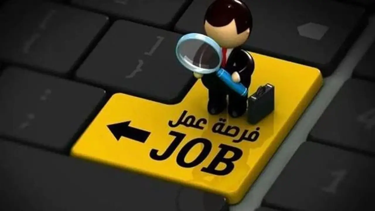فتح باب التقديم لوظائف شاغرة بمحافظة الجيزة 2026