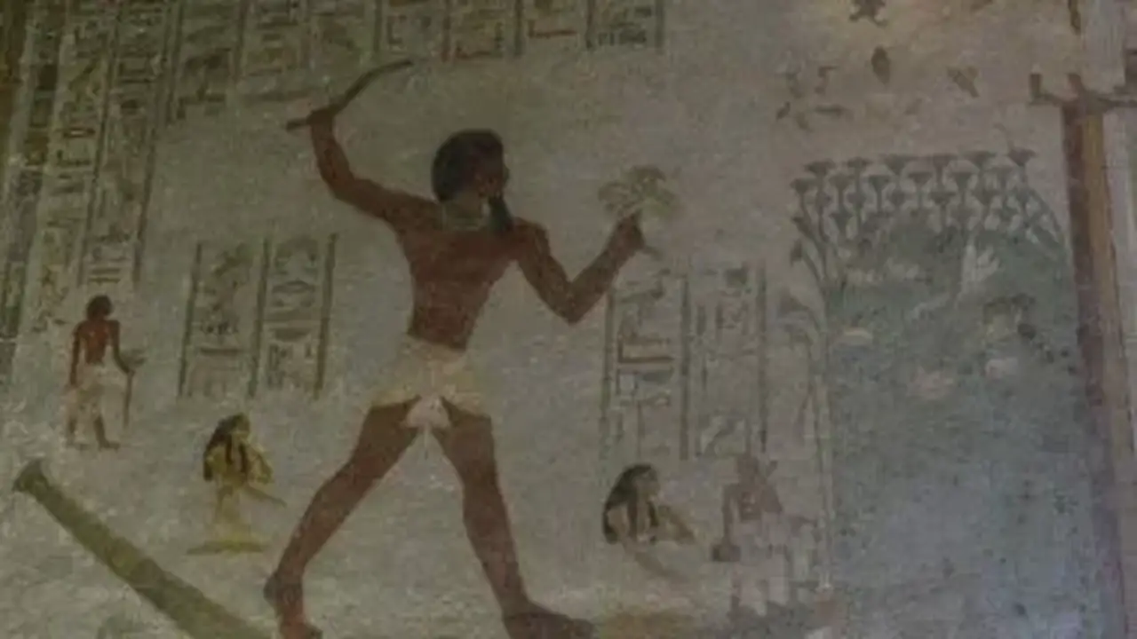 مقبرة أمنمحات بالمنيا: تجسيد لمظاهر الحياة اليومية في مصر خلال عصر الدولة الوسطى