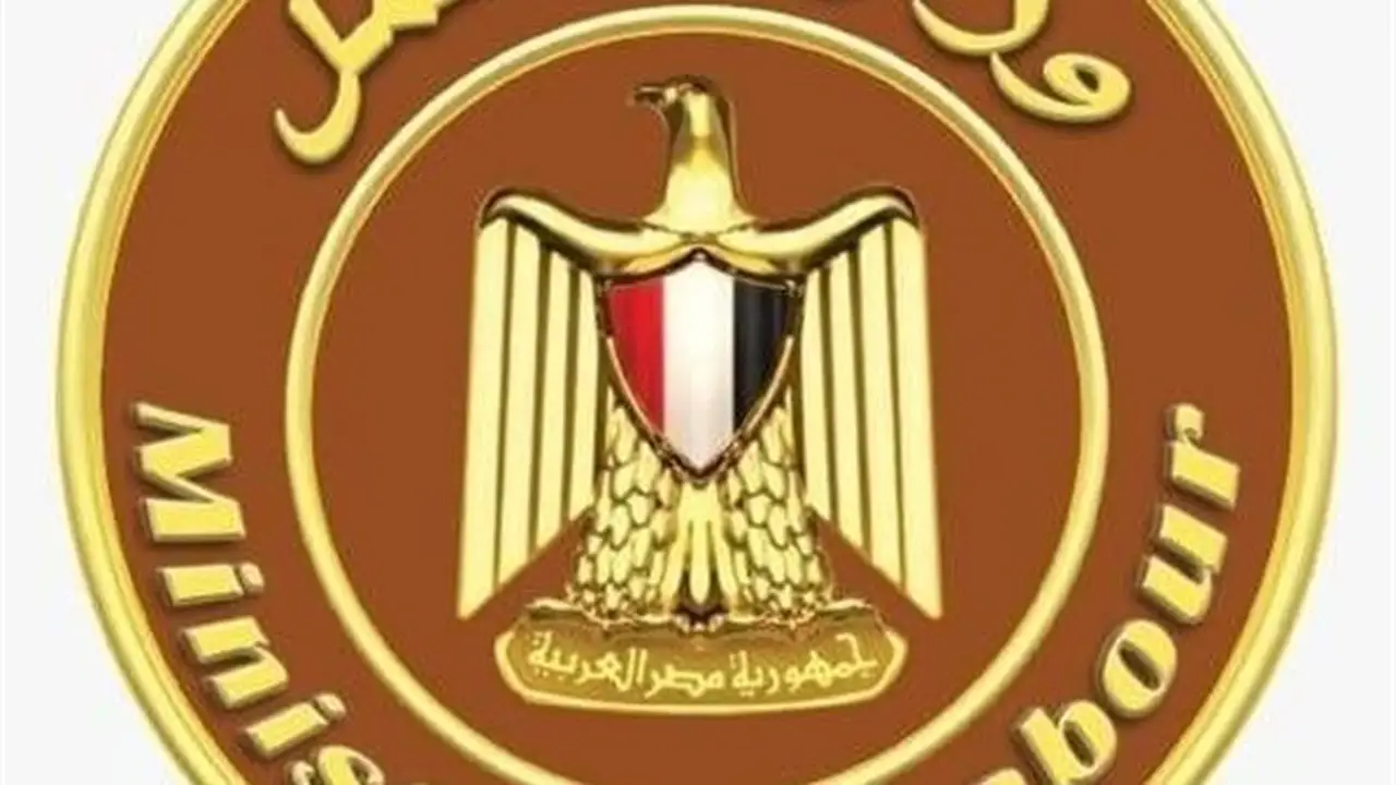 تفاصيل إنفاق وزارة العمل على الحماية الاجتماعية: منح ورعاية وتدريب