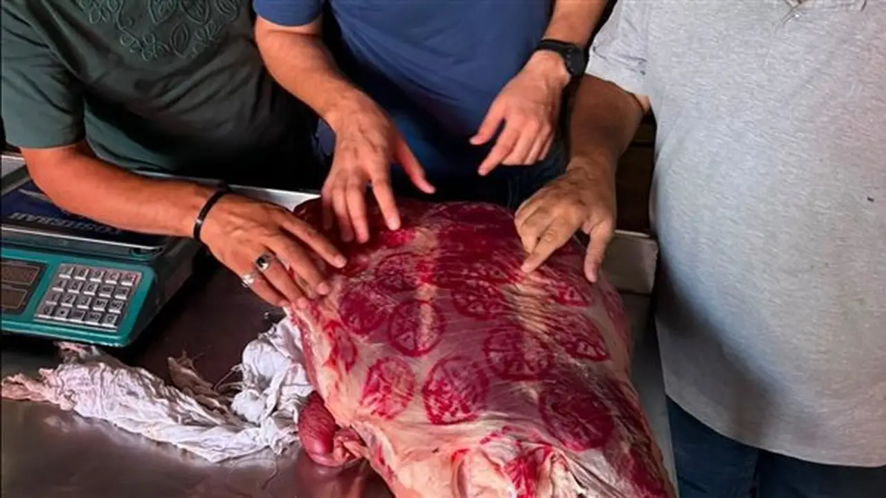 ضبط 1.3 طن من اللحوم والدواجن الفاسدة في الغربية