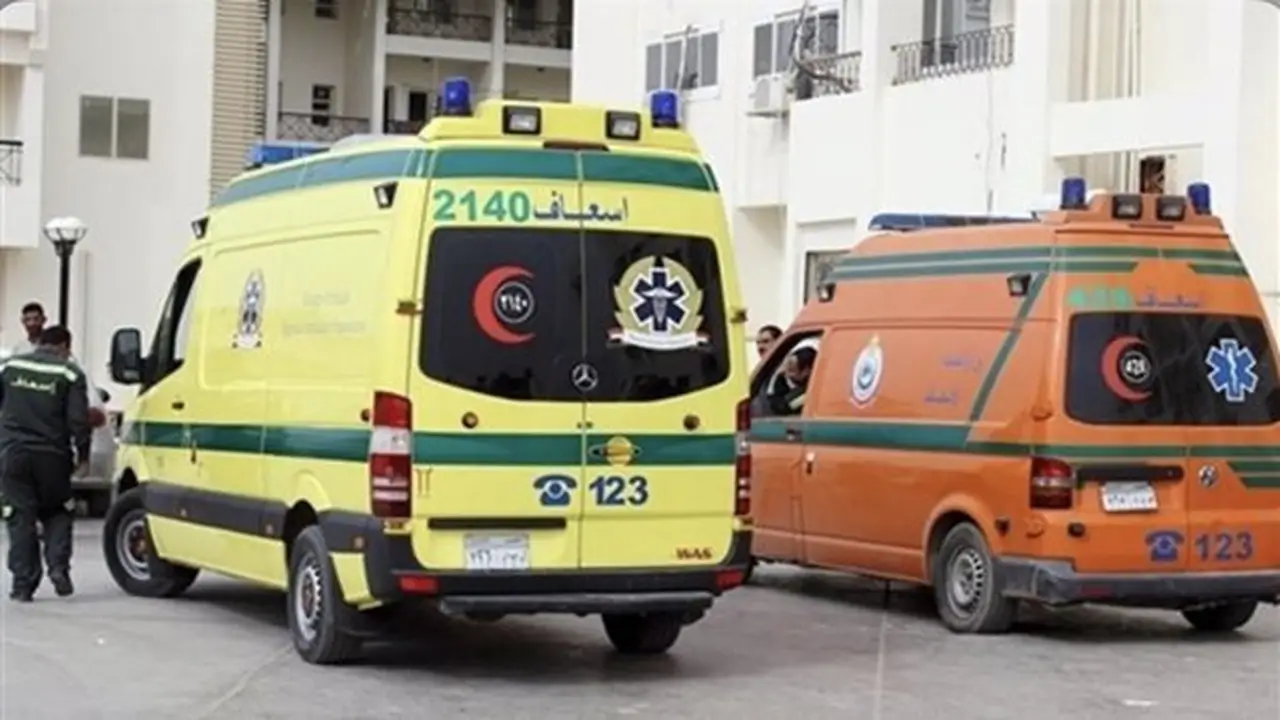 إصابة طفل وسيدتين جراء لدغات ثعابين في 5 مراكز بمحافظة الشرقية