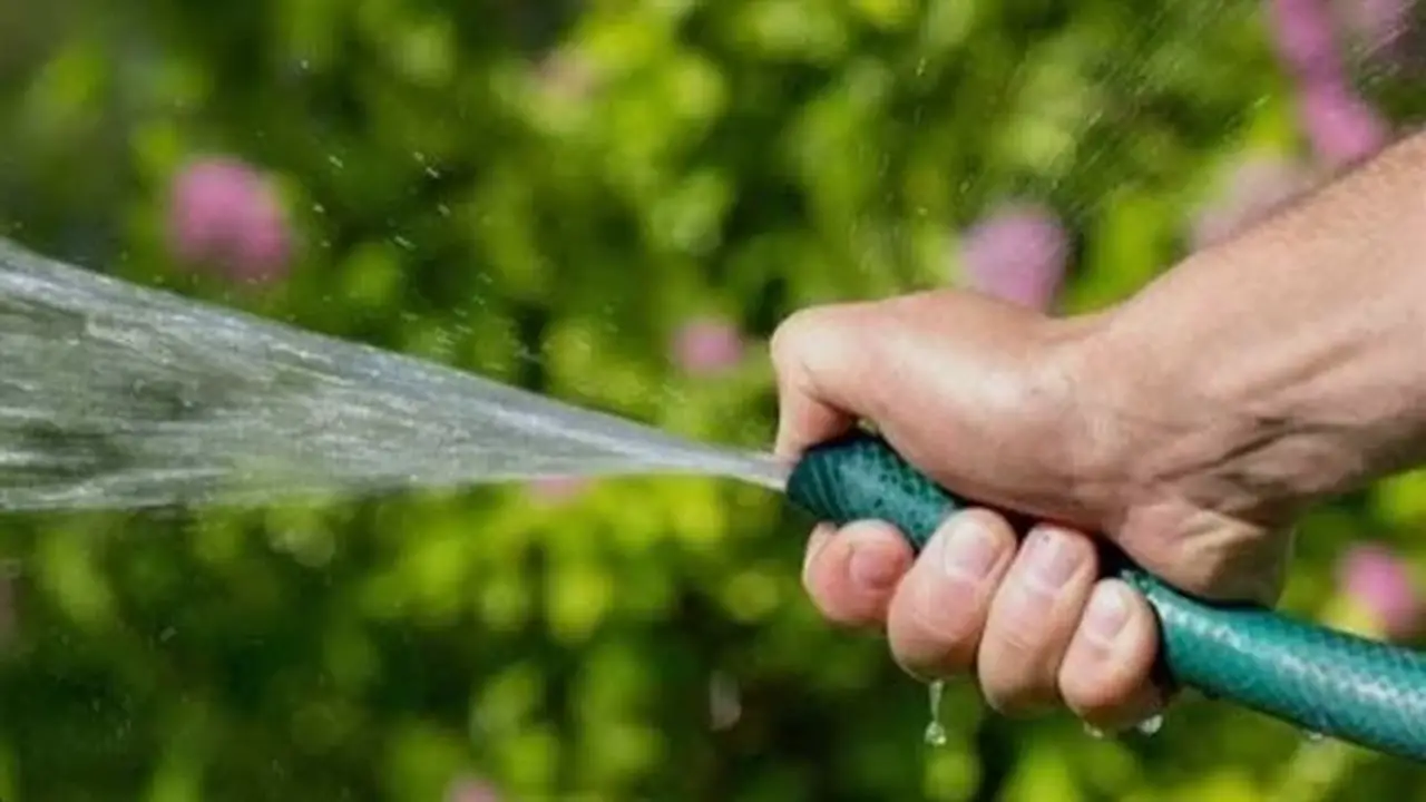 خبير يحذر الحكومة المصرية من مخاطر حظر رش الشوارع بالمياه