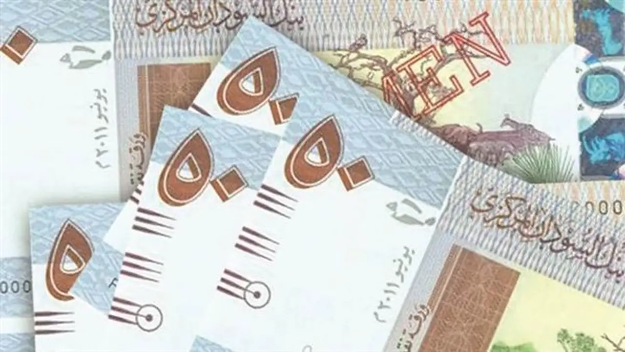 استقرار سعر الجنيه السوداني مقابل الدولار في بنك السودان المركزي