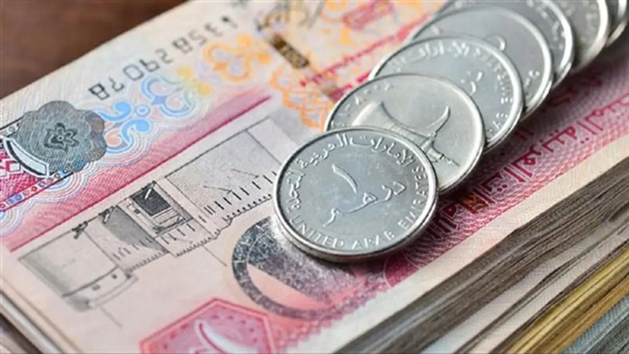 استقرار سعر الدرهم الإماراتي مقابل الجنيه في البنك المركزي اليوم الأحد