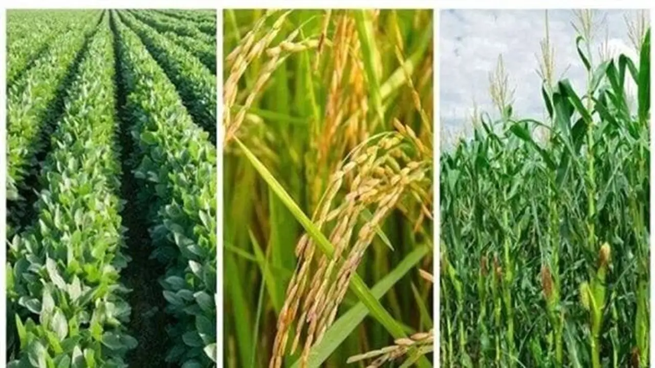 أسباب تأخر نمو صناعة التأمين في وسط أفريقيا