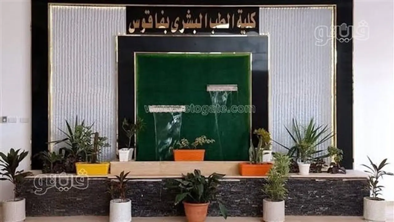 1200 طالب في قلب القرار: الأعلى للجامعات يعيد تنظيم الدراسة بكلية طب فاقوس