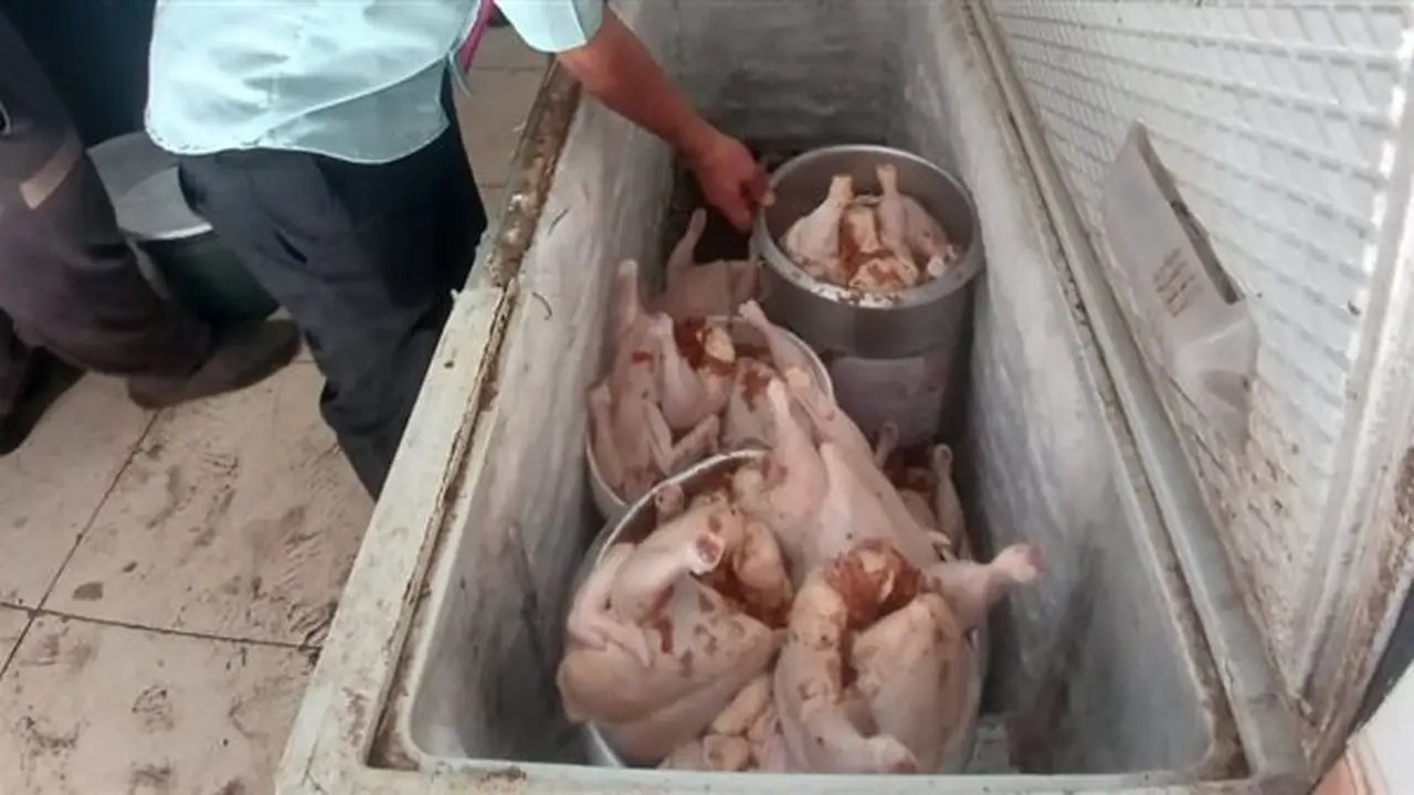 ضبط 510 كيلوجرامات من اللحوم الفاسدة خلال حملات تموينية في الغربية