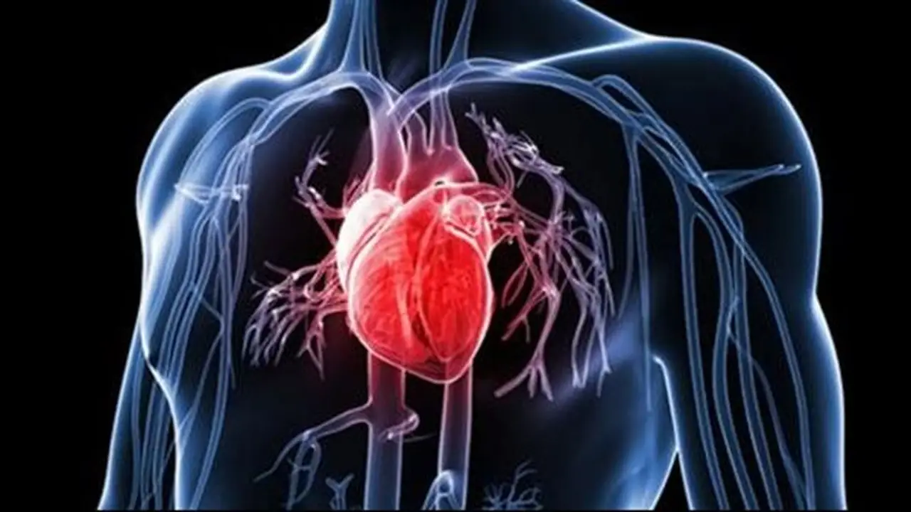 أسباب وأعراض أمراض القلب وسبل الوقاية منها