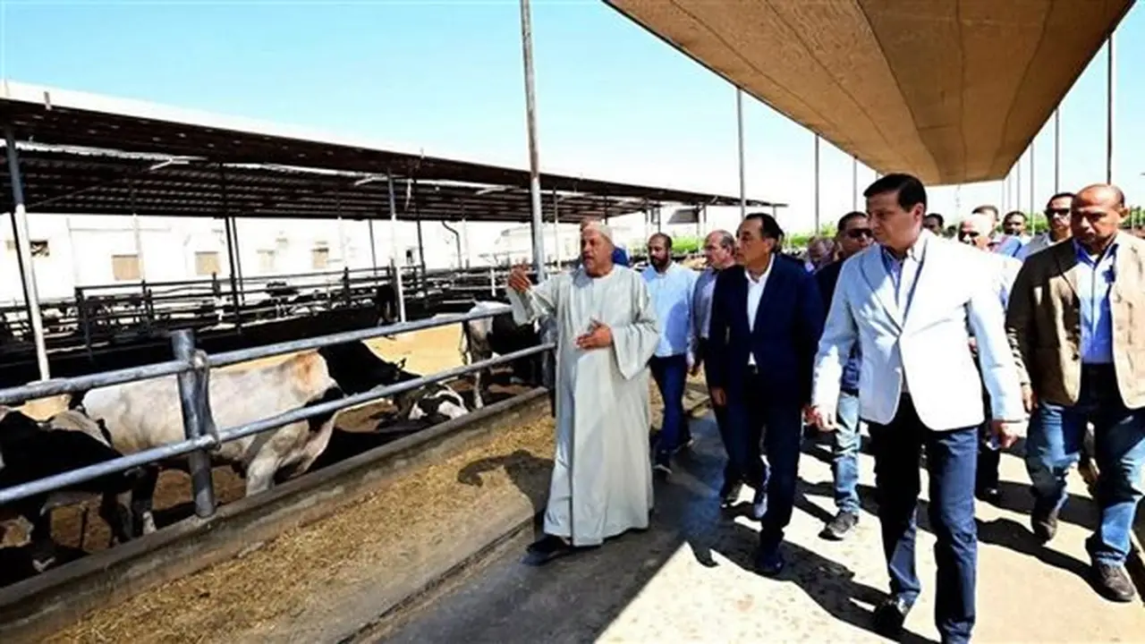رئيس الوزراء يؤكد على أهمية الأمن الغذائي وتنمية الثروة الحيوانية كأولويات استراتيجية للدولة