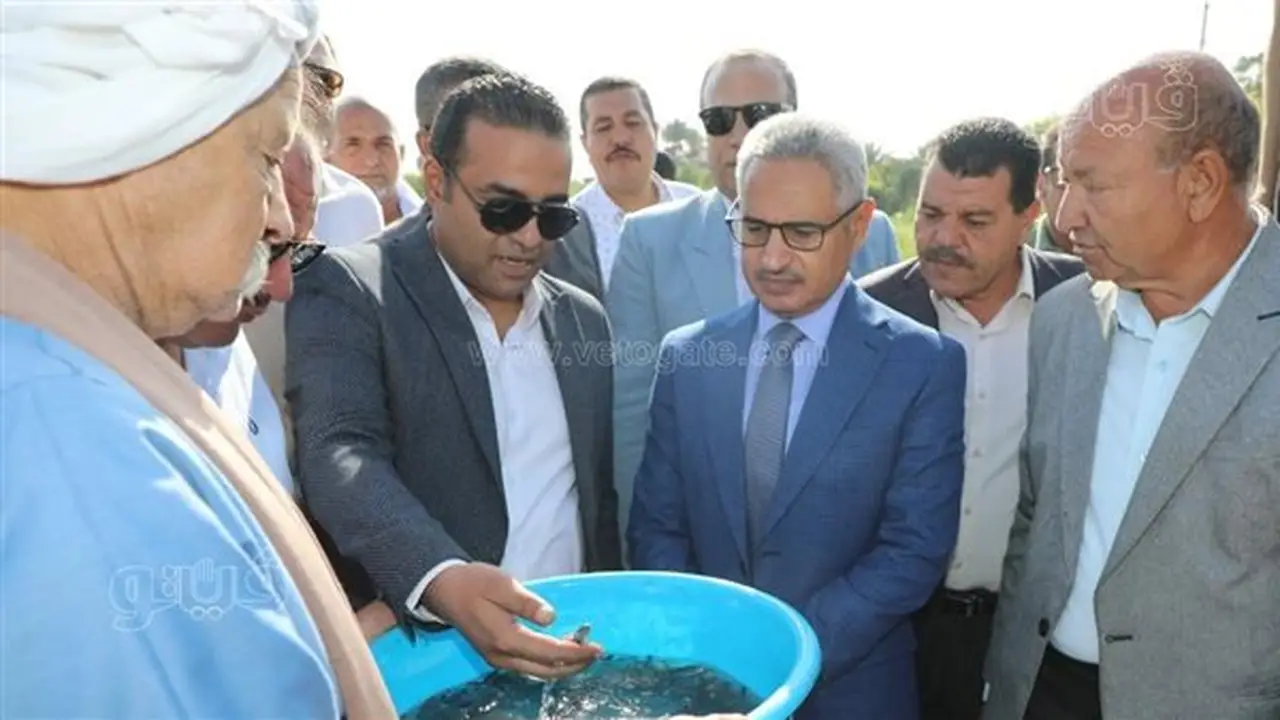 محافظ بني سويف يشهد إطلاق 250 ألف زريعة سمكية في نهر النيل