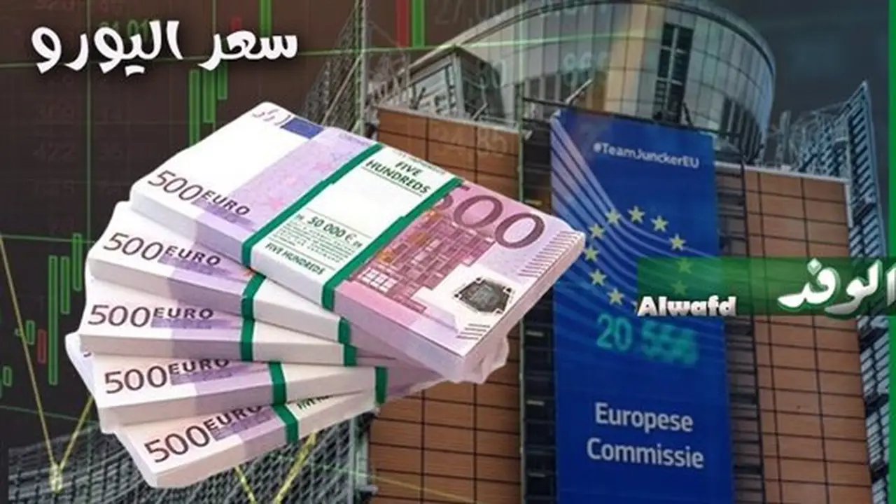 استقرار أسعار اليورو في البنوك المصرية اليوم مع تفاوت طفيف
