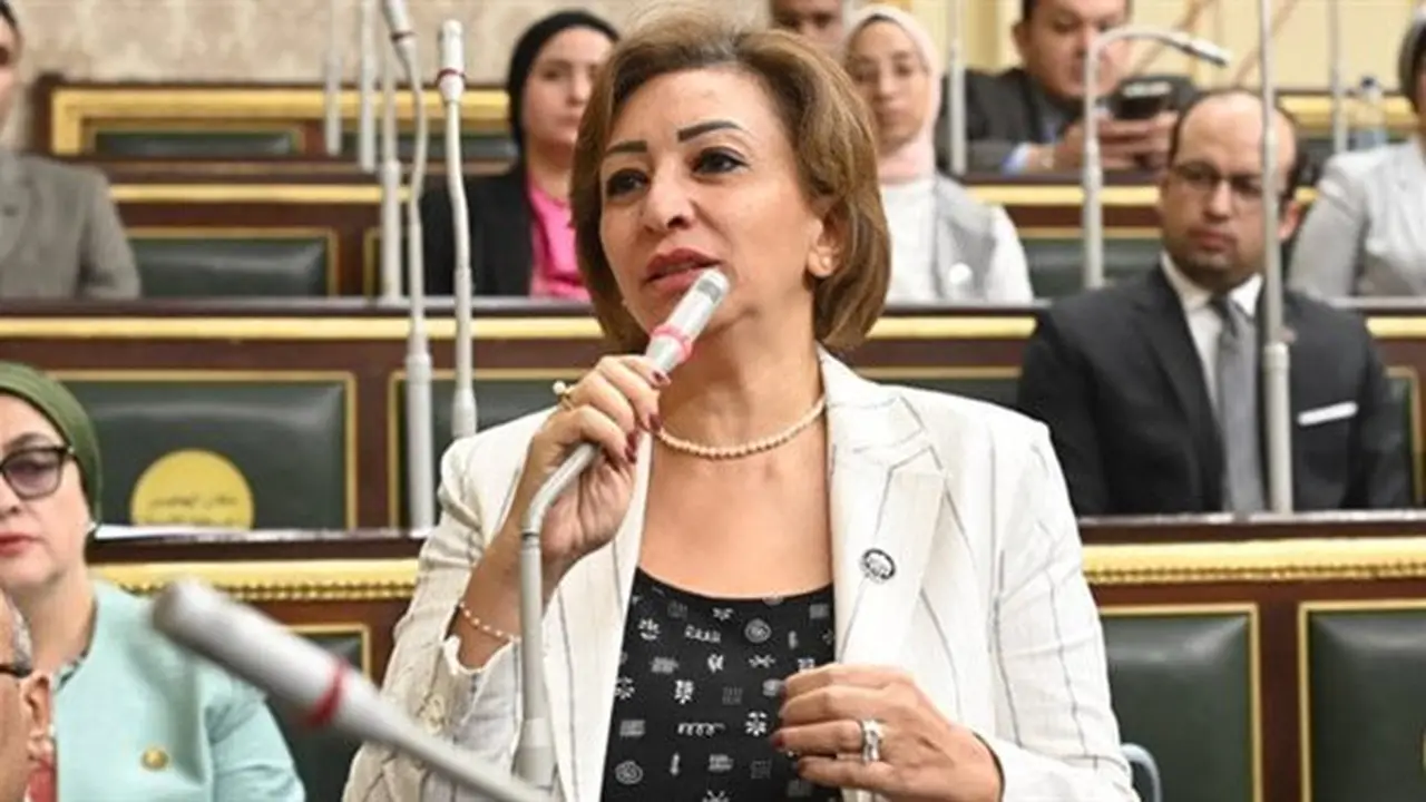 مها عبدالناصر: قانون “مستقبل مصر” لا ينبغي أن يعتمد على إنشاء كيانات موازية للإصلاح