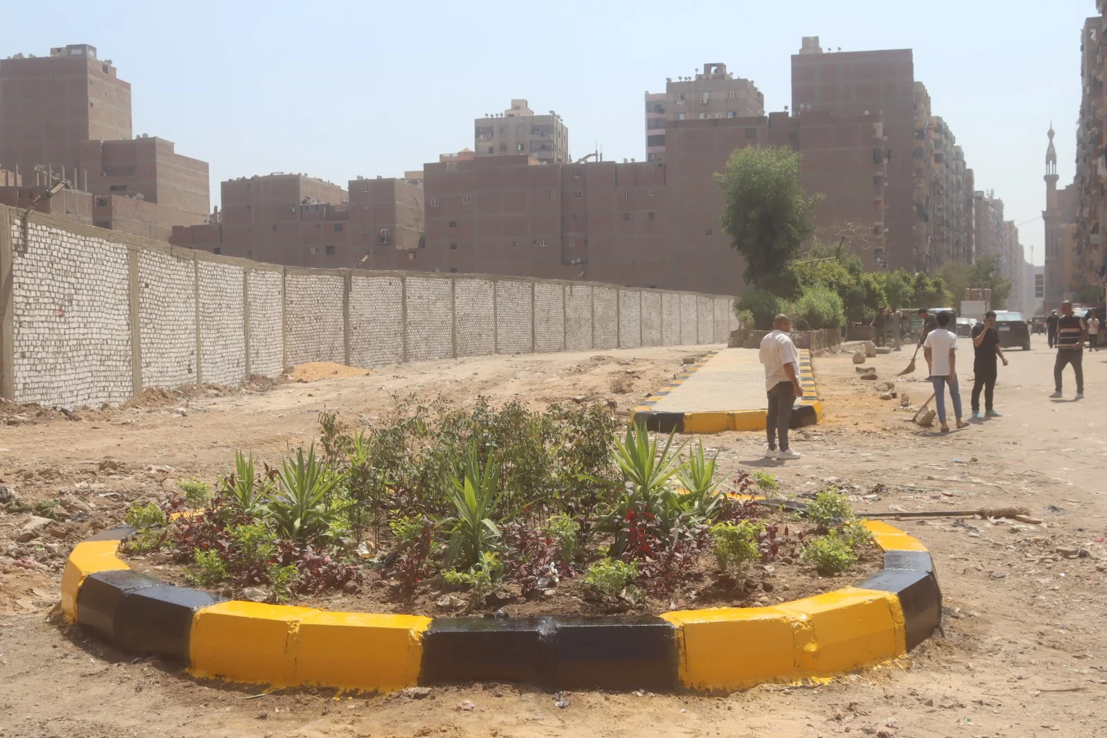 تشجير المنطقة