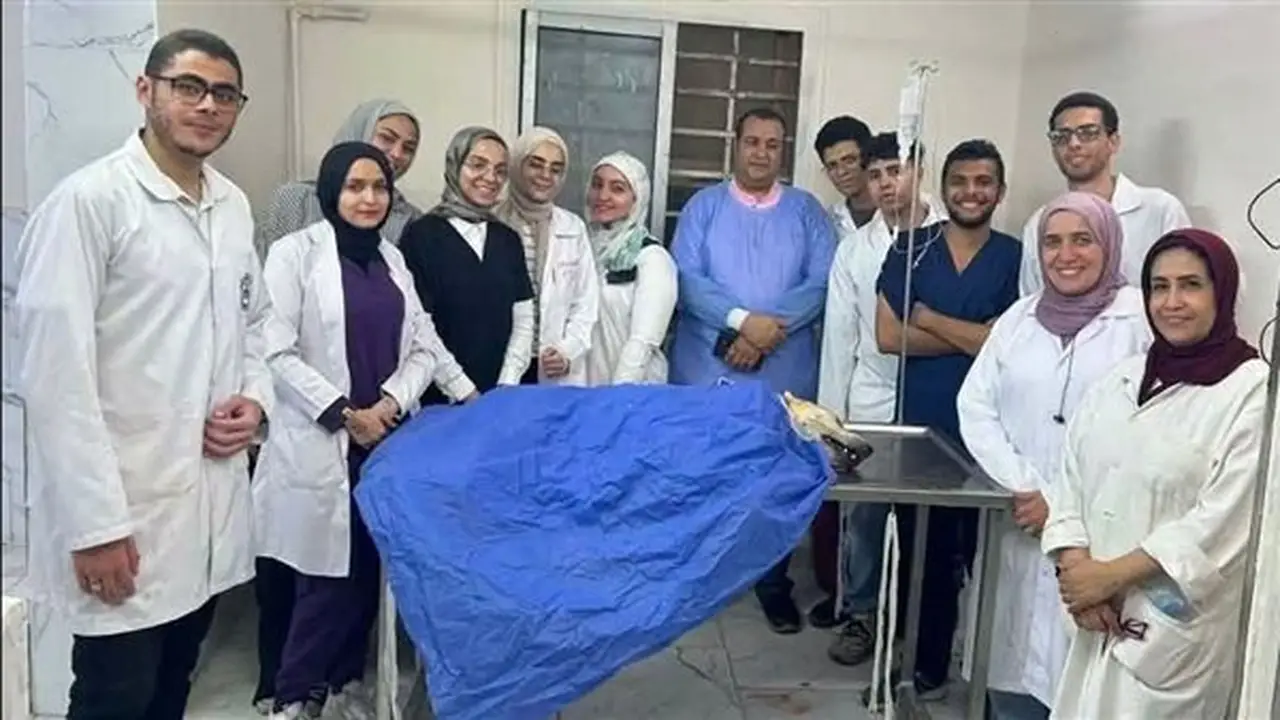 طلاب كلية الطب البيطري بجامعة القاهرة يشاركون في حملة لتعقيم الكلاب الضالة وفق المعايير الدولية