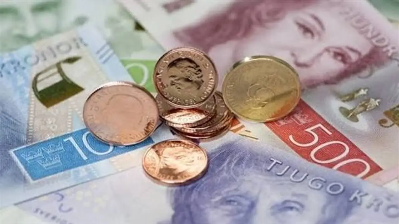 استقرار سعر الكرون السويدي أمام الجنيه في البنوك المصرية