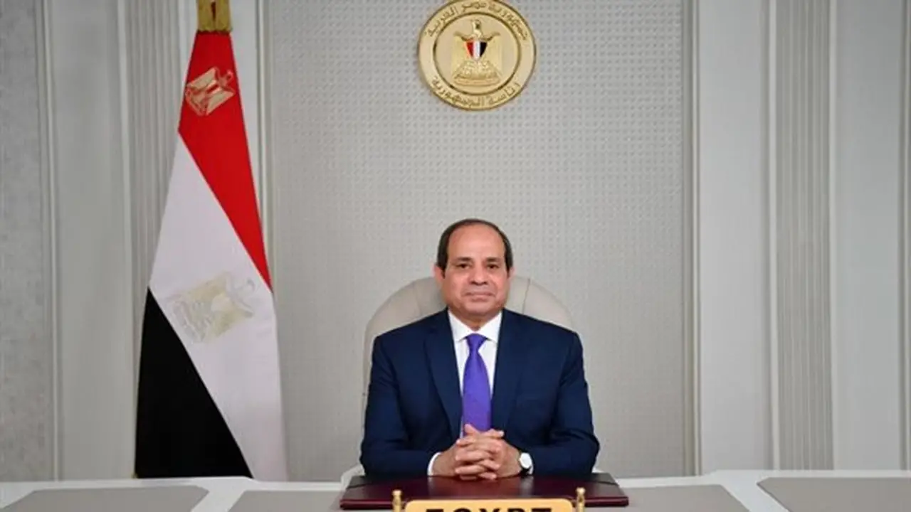 سد النهضة وتعزيز التعاون الاقتصادي: 4 ملفات رئيسية في المباحثات المصرية التنزانية