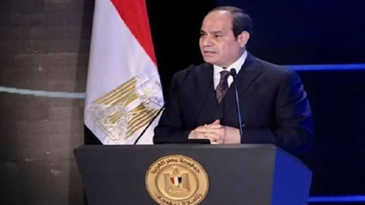 السيسي: التزام مصر بتعزيز الشراكة مع تنزانيا في شتى المجالات
