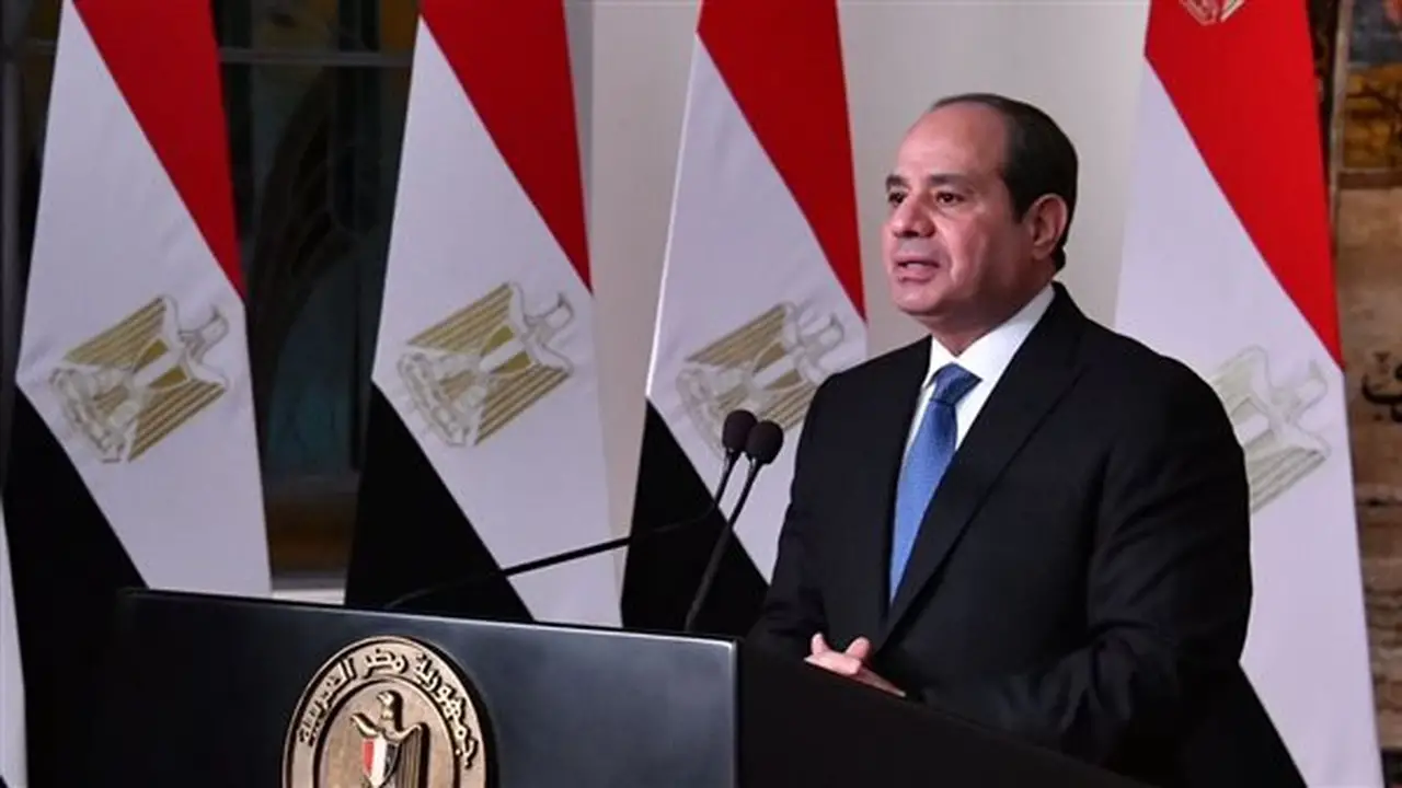 السيسي يبحث قضايا الشرق الأوسط والقرن الأفريقي مع رئيسة تنزانيا