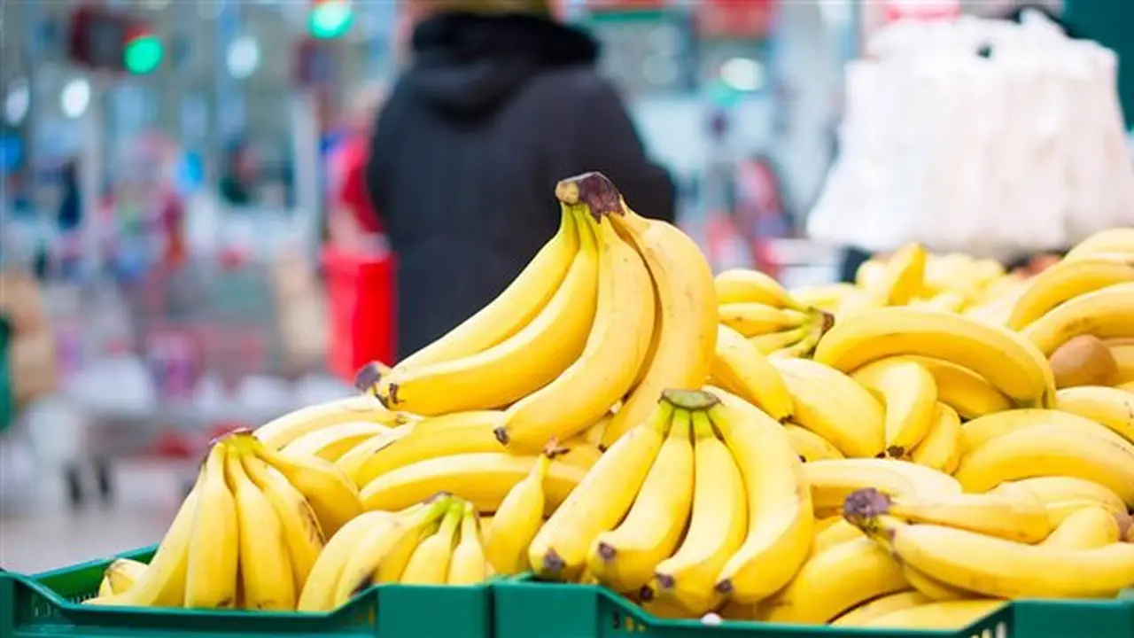 وزارة الزراعة تنفي مزاعم زيادة وزن الموز بعد الحصاد