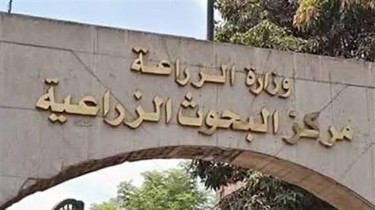 انطلاق المؤتمر الدولي الأول للتنمية المستدامة للثروة الحيوانية والداجنة والسمكية غدًا