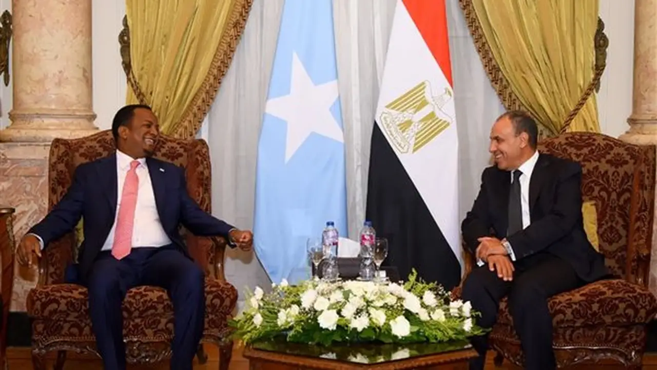 وزير الخارجية المصري يدعو نظيره الصومالي لمواصلة الجهود للإفراج عن البحارة المختطفين (صور)