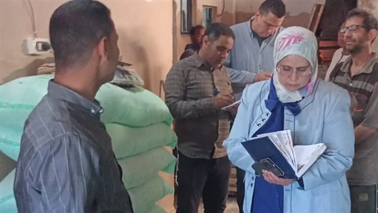حملات تموينية في 4 مراكز بالبحيرة تضبط 35 شيكارة دقيق بلدي مهرب إلى السوق السوداء
