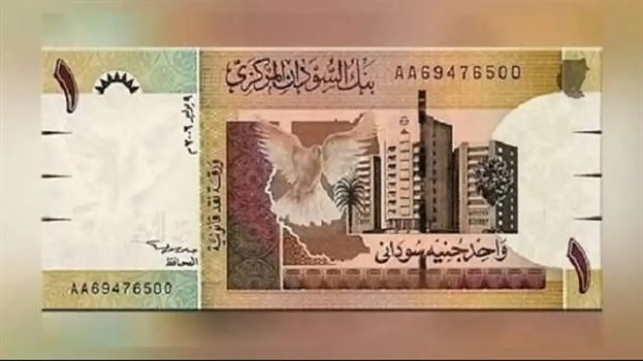 استقرار سعر الدولار مقابل الجنيه السوداني في بنك السودان المركزي اليوم الأحد