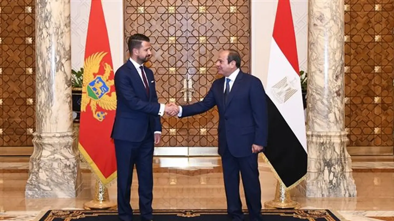 رئيس الجبل الأسود يشيد بالجهود المصرية في مكافحة الهجرة غير الشرعية