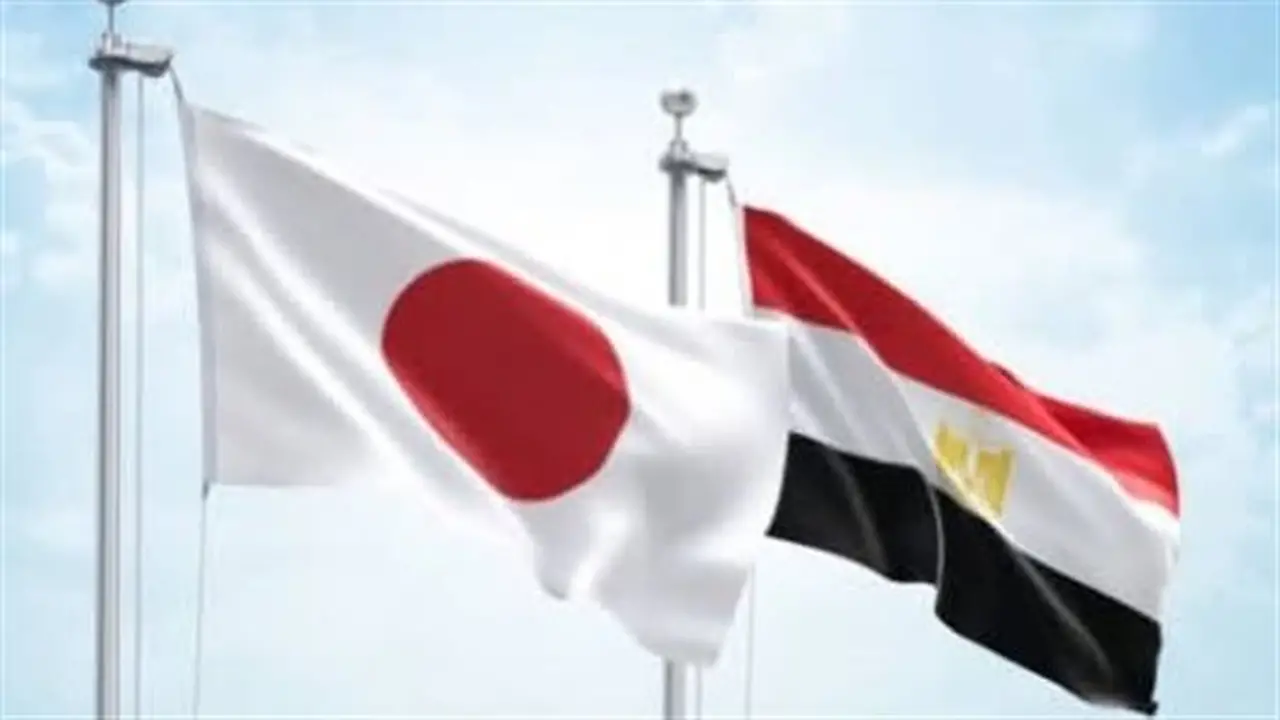 قفزة ملحوظة في صادرات الموالح المصرية إلى اليابان: البرتقال يقود النمو بـ 13 ضعفًا