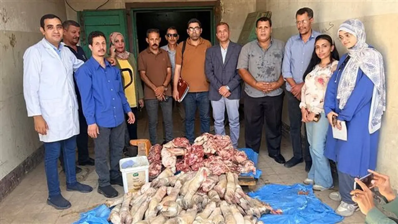 ضبط 250 كيلو من اللحوم غير الصالحة للاستهلاك الآدمي في مطعم شهير بسوهاج