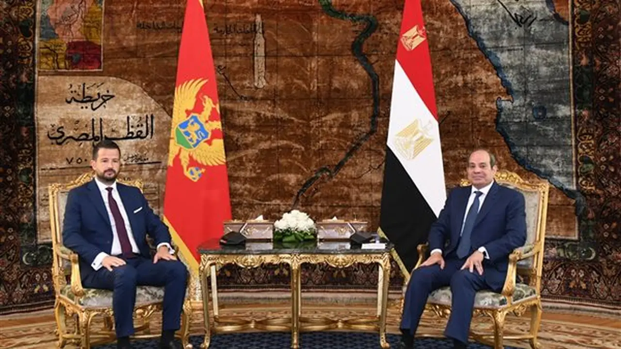 السيسي ورئيس الجبل الأسود يبحثان تعزيز التعاون الاقتصادي وقضايا الشرق الأوسط (فيديو)