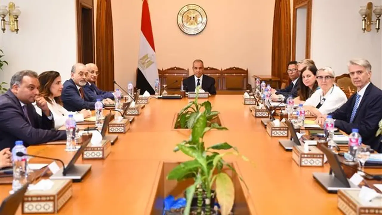 وزير الخارجية يعرض جهود مصر في تعزيز حقوق الإنسان أمام وفد البرلمان الأوروبي