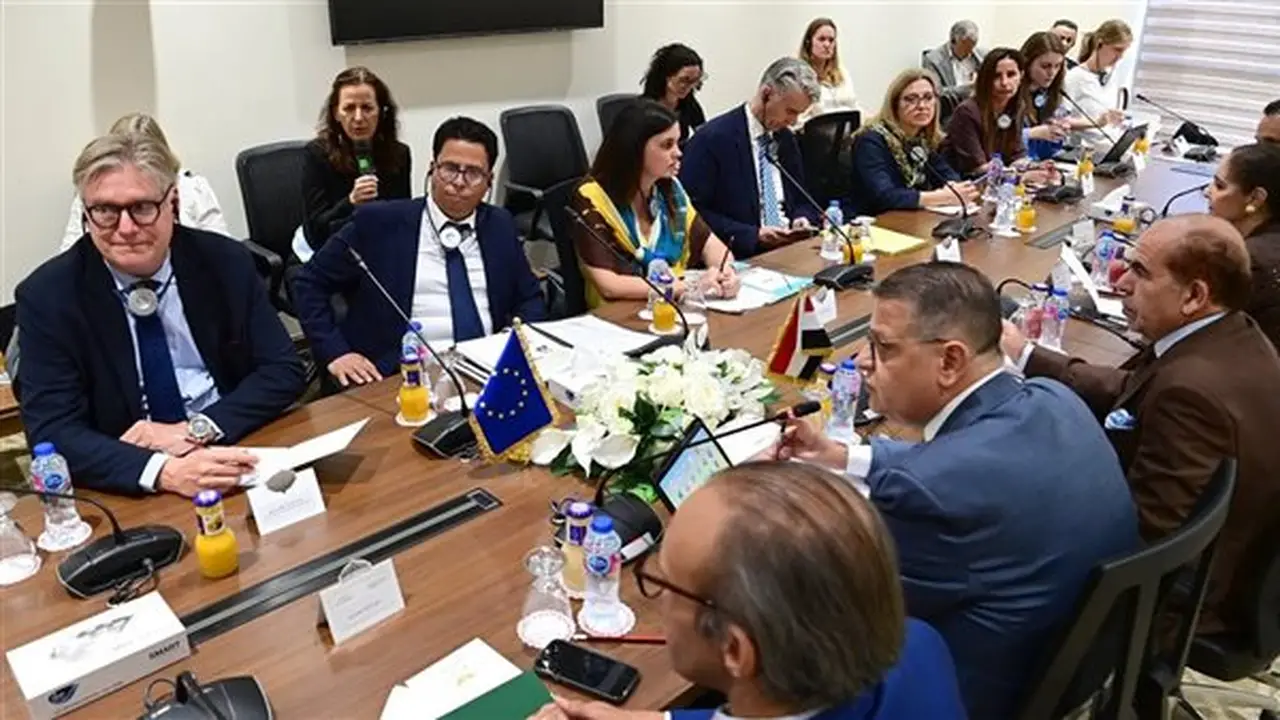 لجنة حقوق الإنسان بمجلس النواب تستقبل رئيس اللجنة الفرعية لحقوق الإنسان بالبرلمان الأوروبي