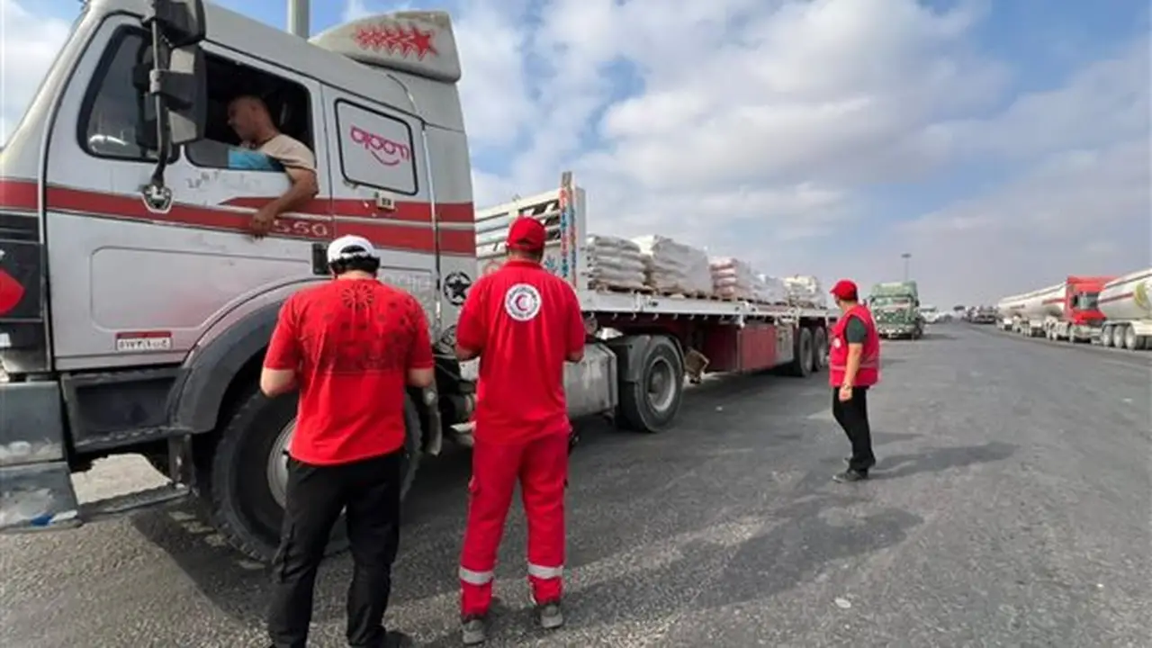 مصر تُطلق قافلة مساعدات جديدة رقم 241 لدعم الأشقاء الفلسطينيين في غزة