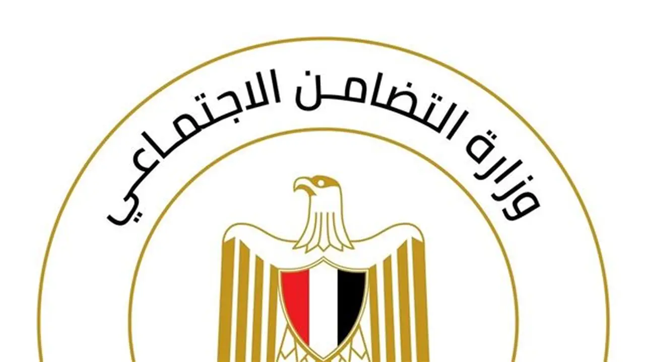 حبس مشرف دار لرعاية ذوي الإعاقة الفكرية 4 أيام بتهمة الاعتداء على نزيل