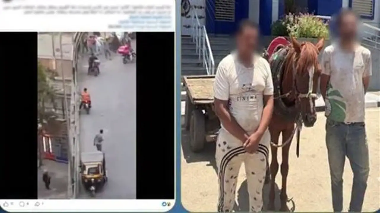 فيديو يكشف تفاصيل اعتداء على عامل نظافة في القاهرة بسبب عربة كارو تسير عكس الاتجاه