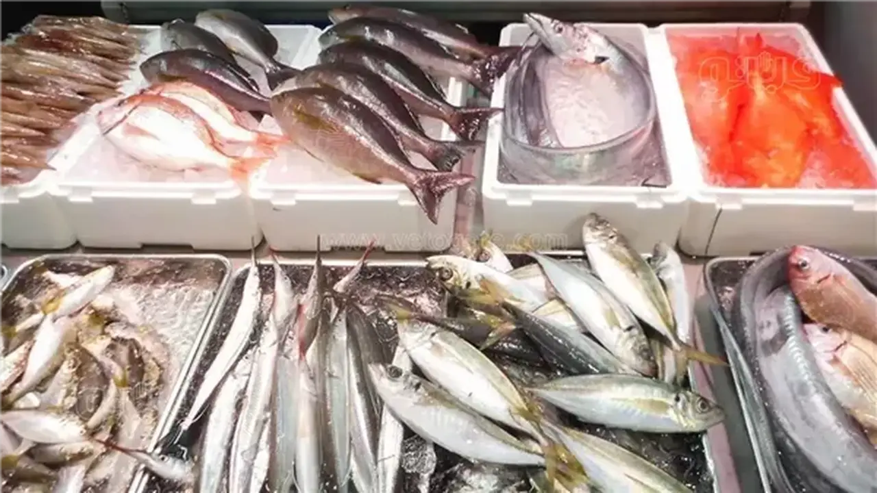 أسعار السمك اليوم: البلطي يسجل 68 جنيها وانخفاض ملحوظ في المكرونة وقشر البياض