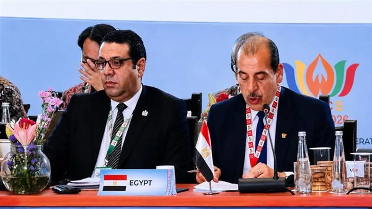 مصر تعرض تجربتها في تطوير المنظومة الصحية خلال اجتماع وزراء صحة دول «بريكس» في الهند