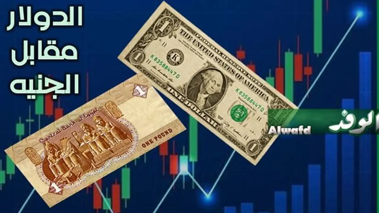 سعر الدولار أمام الجنيه المصري اليوم الجمعة 24 يوليو 2026
