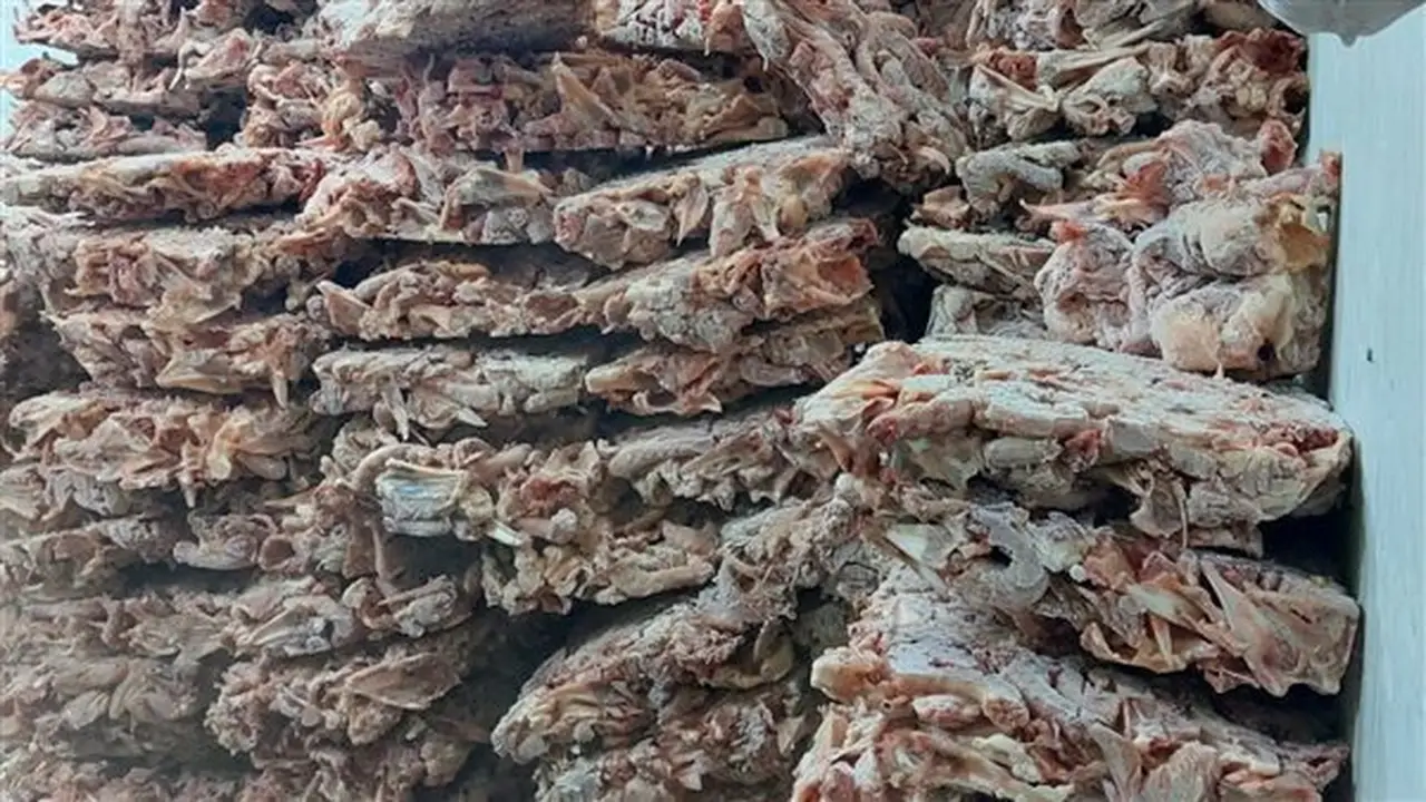 ضبط 42 طنًا من اللحوم والدواجن الفاسدة ومشروبات طاقة مجهولة المصدر في الجيزة