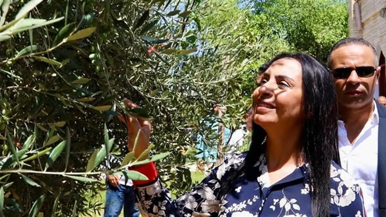 جولة تفقدية لوزيرة التضامن ومحافظ مطروح في مزرعة الزيتون بمركز العزيمة