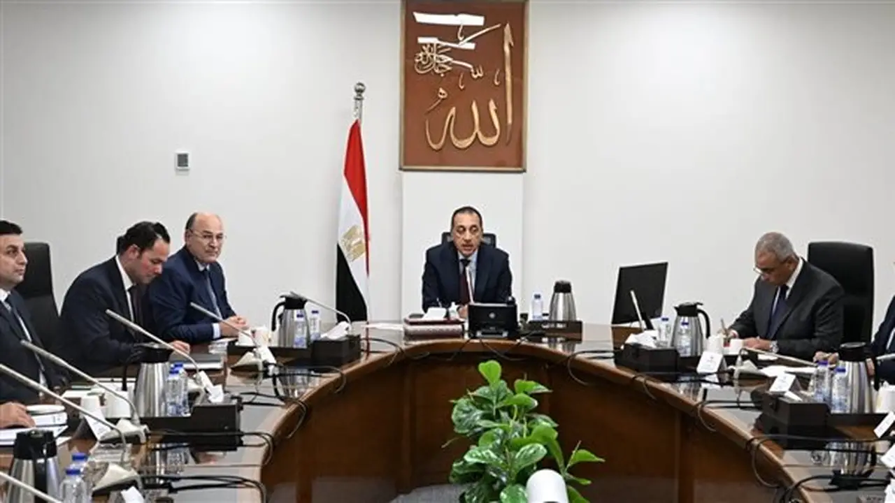 رئيس الوزراء يعرض رؤية لتطوير زراعة وصناعة الكتان في مصر