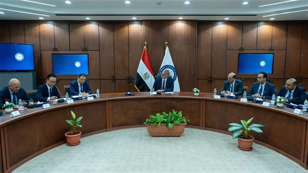 مصر والصين تعززان التعاون في مشروعات البتروكيماويات وتوطين المنتجات