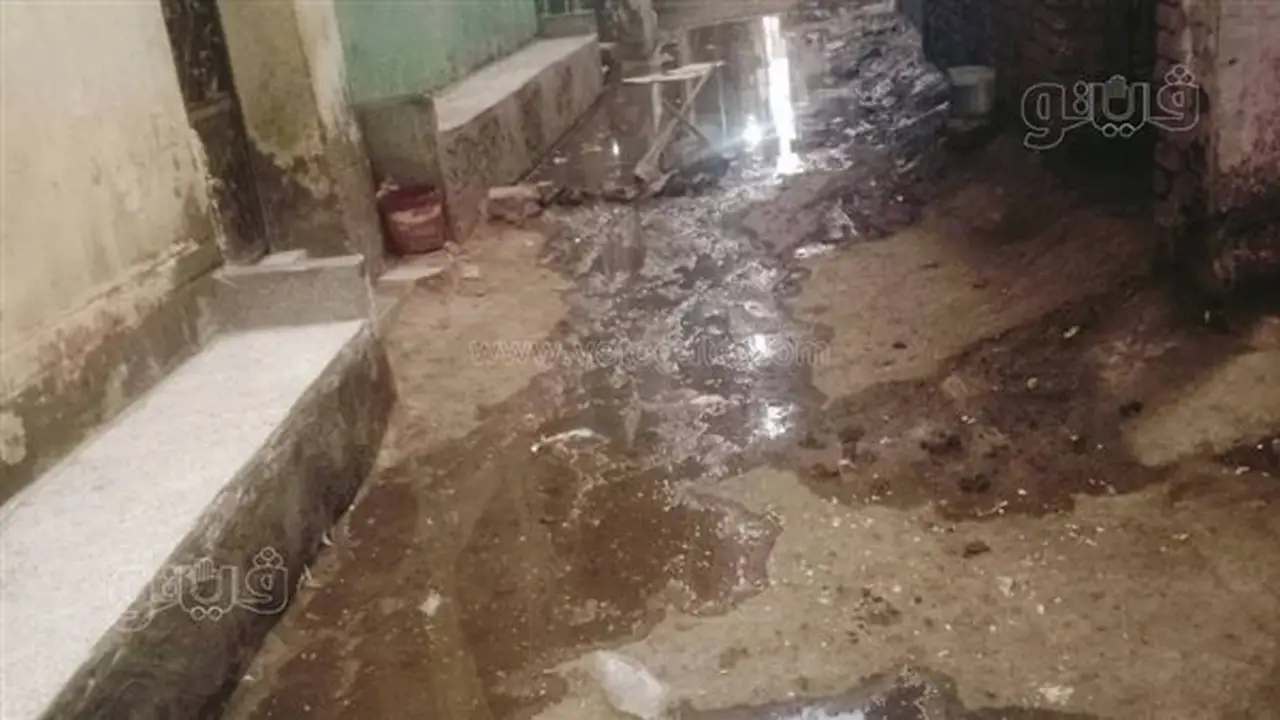 أهالي كفر محمود يطالبون محافظ المنوفية بالتدخل العاجل بعد غرق المنازل والشوارع بمياه الصرف الصحي