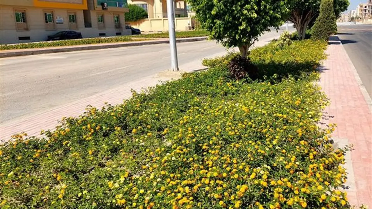 وزيرة الإسكان تتابع مشروعات التطوير ورفع كفاءة الخدمات بمدن الصعيد الجديدة