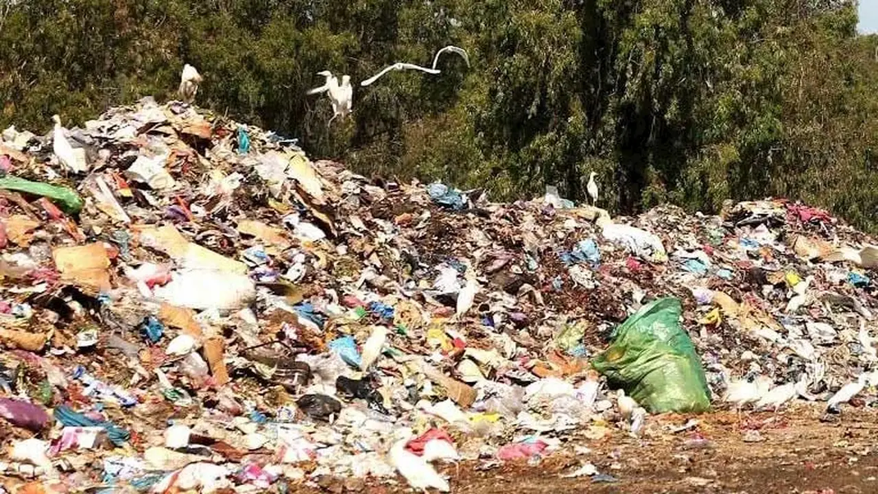 تقرير جديد: 50% زيادة في النفايات بحلول 2050 تهدد البيئة والاقتصاد