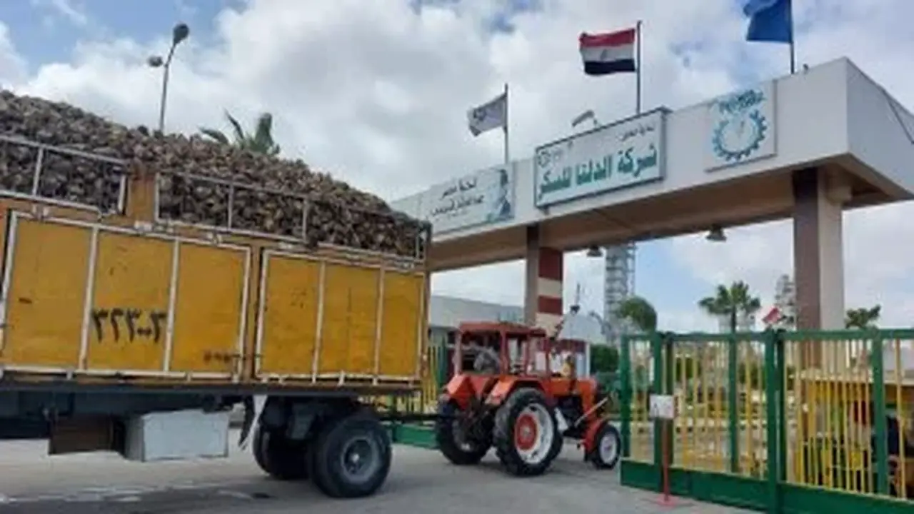 أسباب تراجع أرباح “الدلتا للسكر” بنسبة 74% في ظل أزمة السيولة والمعروض