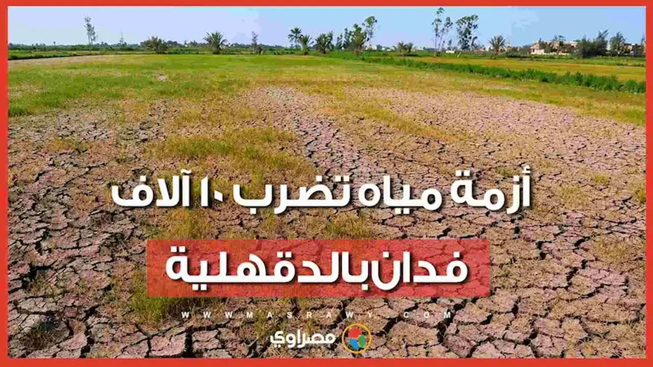 أزمة مياه تؤثر على 10 آلاف فدان في الدقهلية والمزارعون يشتكون: “الأرز مات من العطش وننقل المياه بالجِرادل”